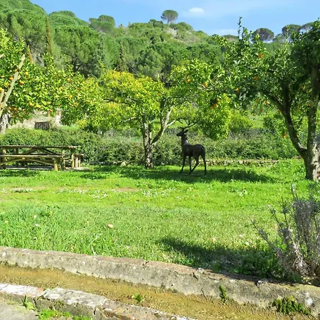 Charming House In With Shared Pool Porto de Mós
